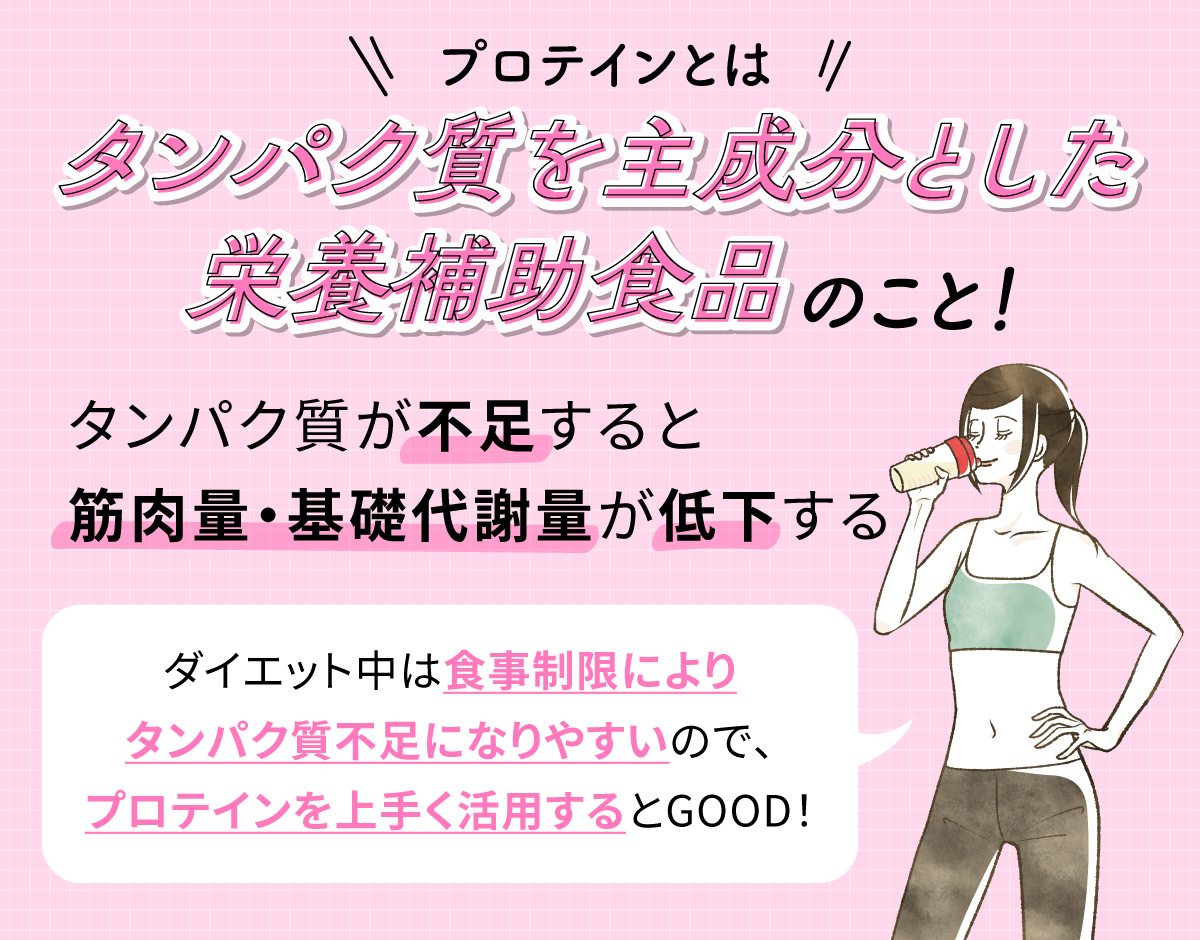 プロテインとはタンパク質を主成分とした栄養補助食品のこと！タンパク質が不足すると筋肉量・基礎代謝量が低下する。ダイエット中は食事制限によりタンパク質不足になりやすいので、プロテインを上手く活用するとGOOD！