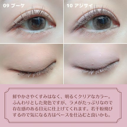 ベアシャドウパレット/フォレンコス/アイシャドウパレットを使ったクチコミ(6枚目)