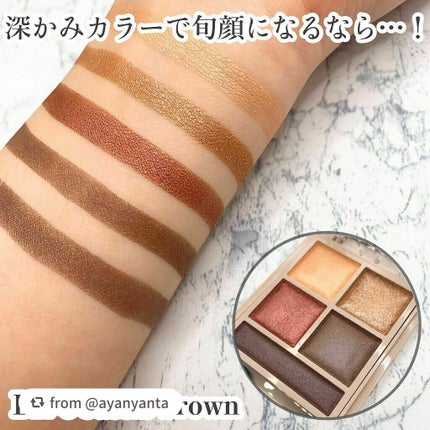 パノラマデザイン アイパレット/Visée/アイシャドウパレットを使ったクチコミ(6枚目)