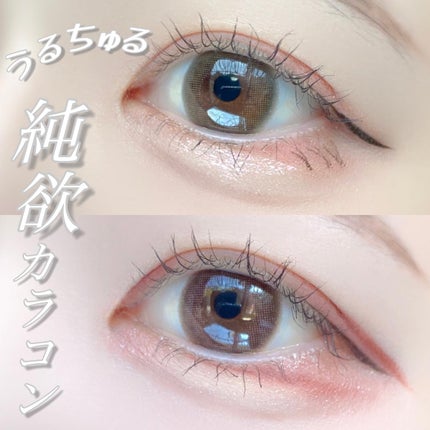 エバーカラーワンデー ナチュラル/エバーカラー/ワンデー(1DAY)カラコンを使ったクチコミ(1枚目)