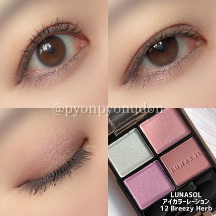 アイカラーレーション/LUNASOL/アイシャドウパレットを使ったクチコミ(7枚目)