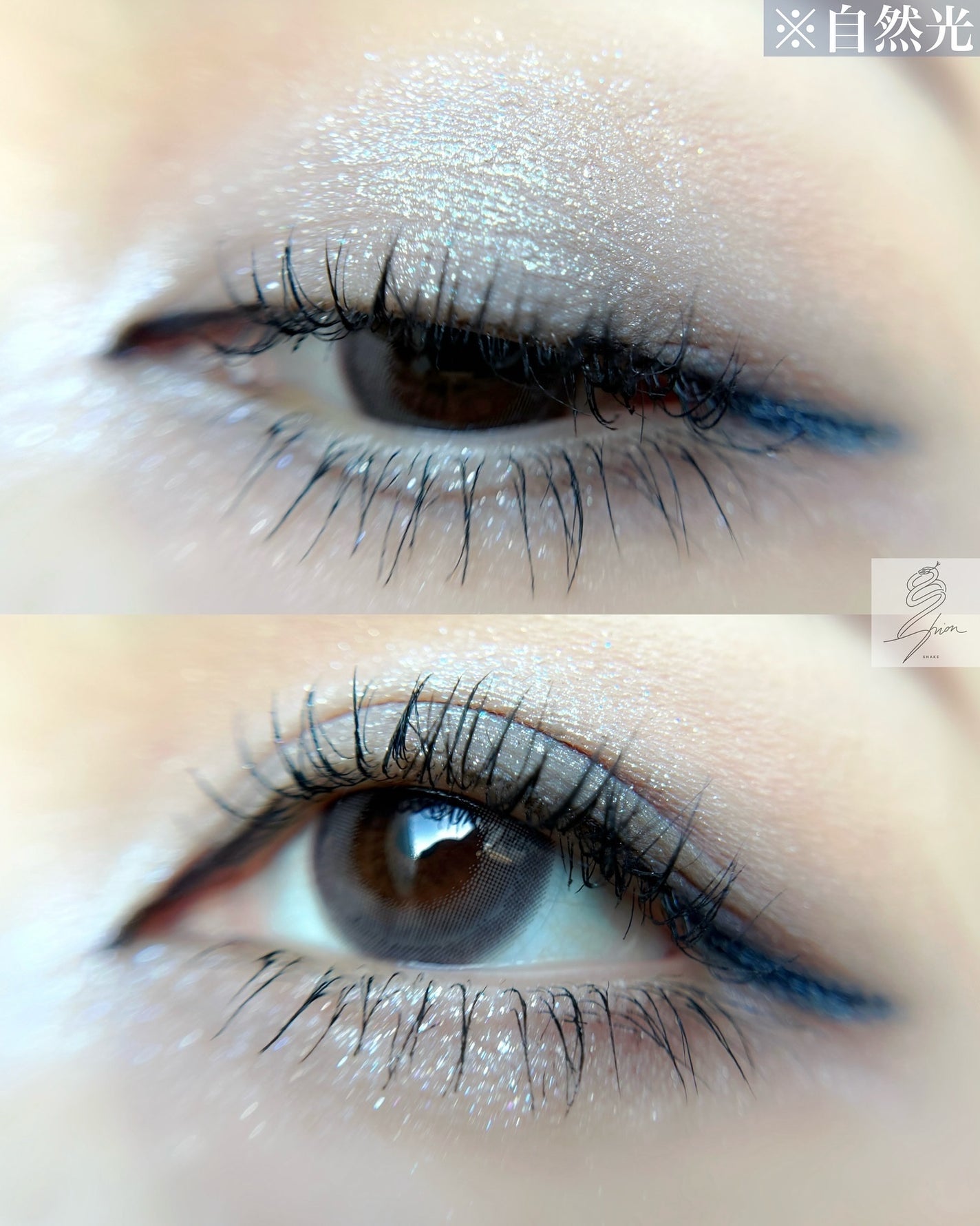 エクスプローラ12色 動物アイシャドウパレット/PERFECT DIARY/アイシャドウパレットを使ったクチコミ(6枚目)