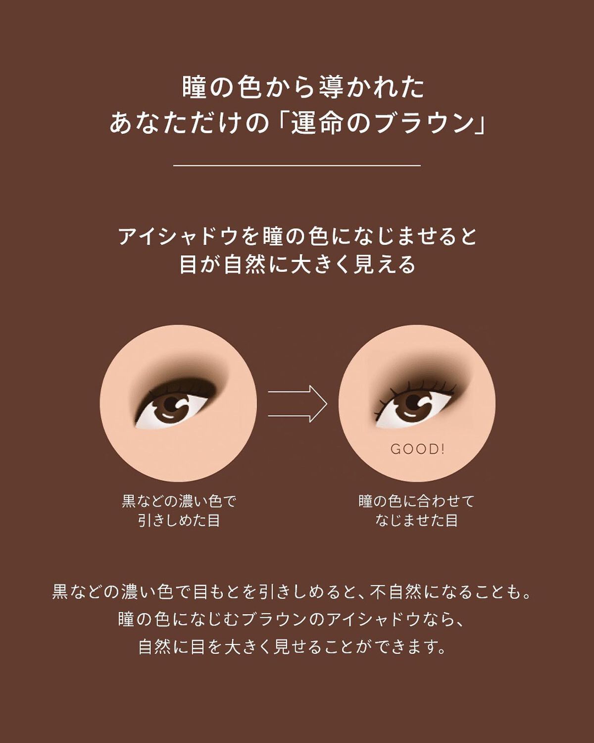 ドラマティックスタイリングアイズ/マキアージュ/アイシャドウパレットを使ったクチコミ(2枚目)