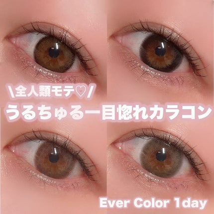 エバーカラーワンデー ナチュラル/エバーカラー/ワンデー(1DAY)カラコンを使ったクチコミ(1枚目)