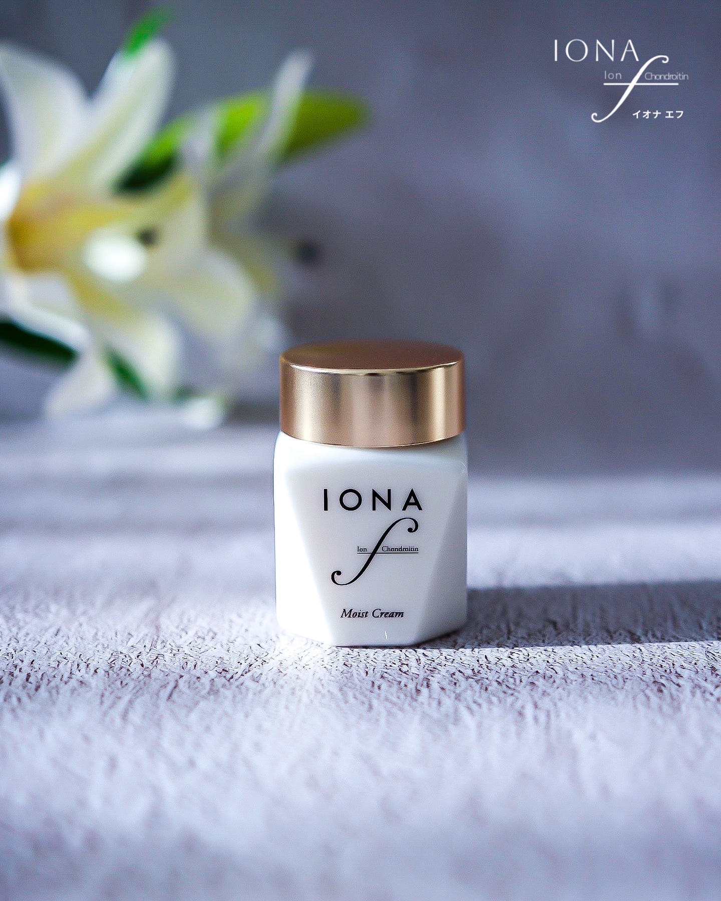 モイスト クリーム/イオナ エフ/フェイスクリームを使ったクチコミ（1枚目）