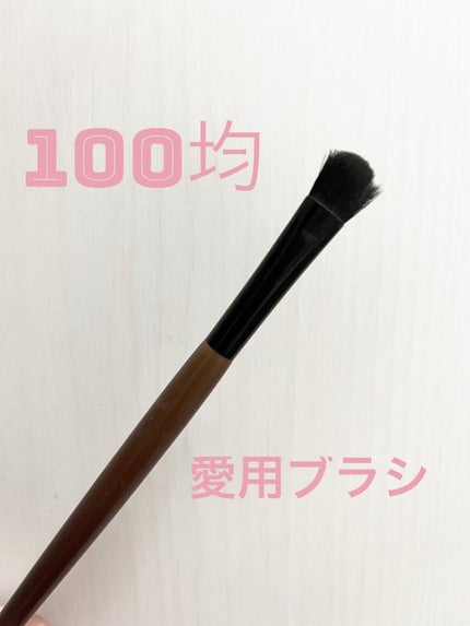 ごくふわブラシ/DAISO/メイクブラシを使ったクチコミ(1枚目)