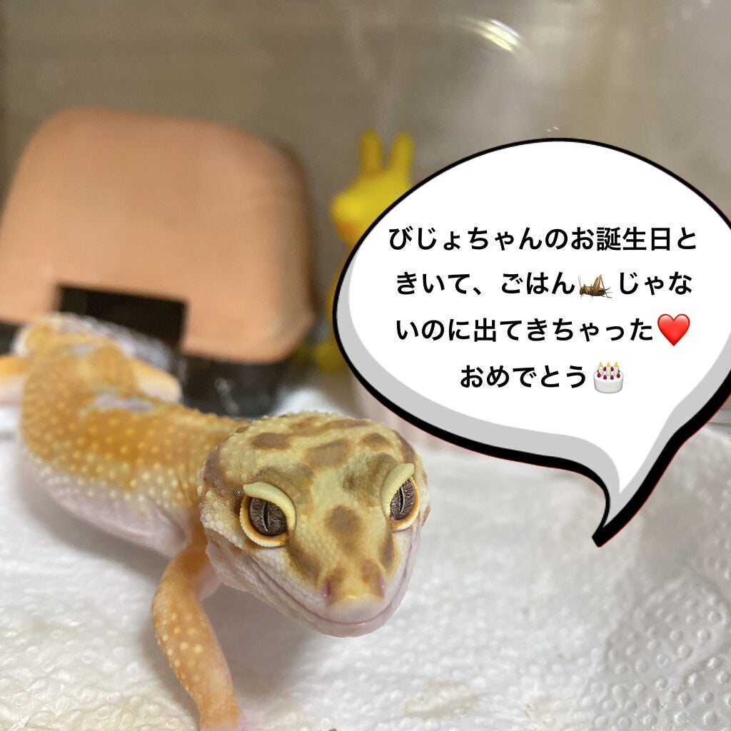 ãããð¥ on LIPS ãð4æ1æ¥ðâ»æçš¿åçã4æç®ããâç¬è«é¡âåºãŸãã®ã§ãèŠæãª..ãïŒ6æç®ïŒ