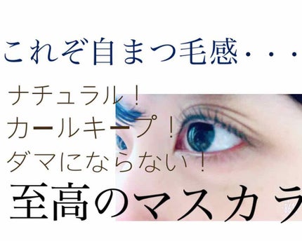 ラッシュティント/MAJOLICA MAJORCA/マスカラを使ったクチコミ(1枚目)