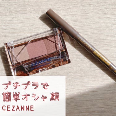 CEZANNE ジェルアイライナーのクチコミ「#お気に入りコスメ 

#cezanne の #ジェルライナー と
ノーズ&アイブロウパウダー.....」（1枚目）