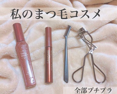 マスカラコーム 207/SHISEIDO/その他化粧小物を使ったクチコミ（1枚目）