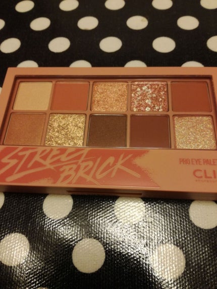 プロ アイ パレット/CLIO/アイシャドウパレットを使ったクチコミ(1枚目)