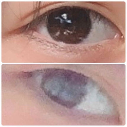 【旧品】パーフェクトスタイリストアイズ/キャンメイク/アイシャドウパレットを使ったクチコミ(2枚目)