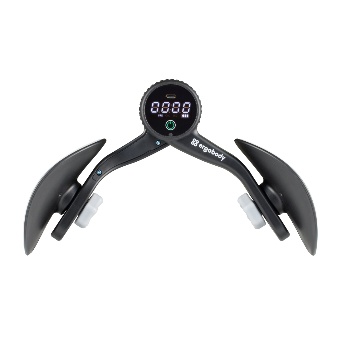 ergobody ディスルフィット