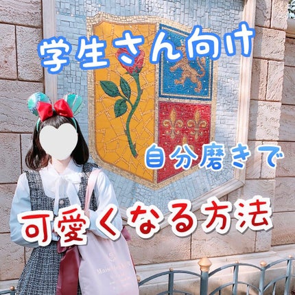 を使ったクチコミ(1枚目)