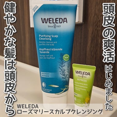 WELEDAのローズマリー スカルプクレンジングで頭皮ケアを始めました。

ローズマリー スカルプクレンジングは、植物成分*が頭皮を健やかに保ってくれて、植物オイルが内側に浸透し潤ったハリのある髪へと導