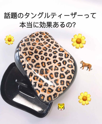 コンパクトスタイラー/TANGLE TEEZER/ヘアブラシを使ったクチコミ(1枚目)