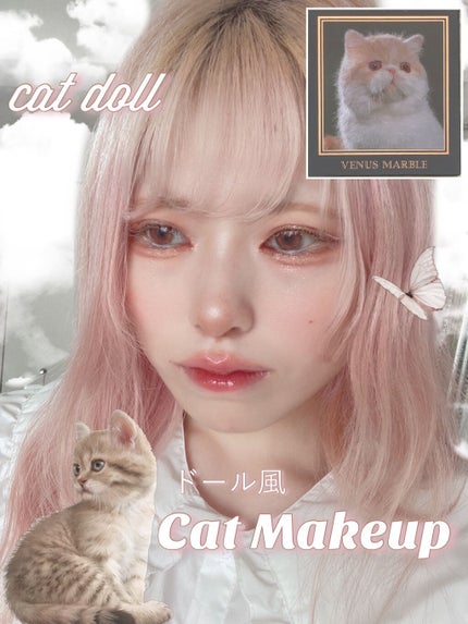 Venus Marble アイシャドウキャットシリーズ エキゾチックショートヘアー/Venus Marble/アイシャドウパレットを使ったクチコミ(1枚目)