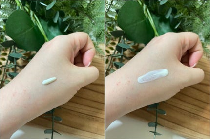 ALOE SHOOTHING FRESH SUN GEL/VEGAN TOLOGY/日焼け止めジェルを使ったクチコミ(2枚目)