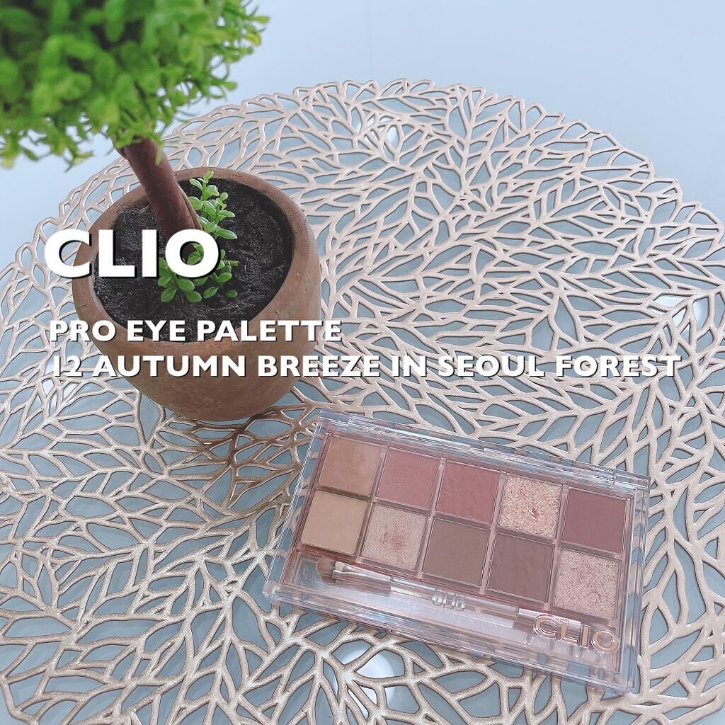 プロ アイ パレット/CLIO/アイシャドウパレットを使ったクチコミ(1枚目)