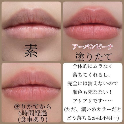 ニュアンス マット ルージュ/Visée/口紅を使ったクチコミ(9枚目)