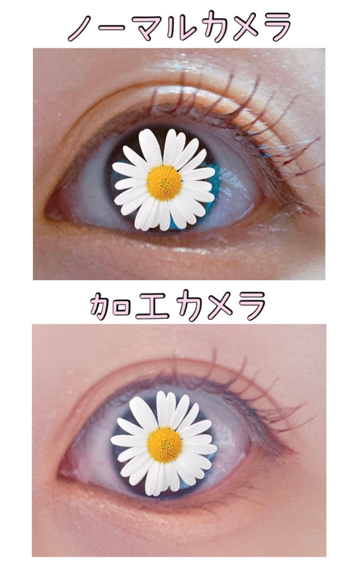 ããŒãã§ã¯ããšã¯ã¹ãã³ã·ã§ã³ ãã¹ã«ã© for ã«ãŒã«/D-UP/ãã¹ã«ã©ã䜿ã£ãã¯ãã³ãïŒ2æç®ïŒ