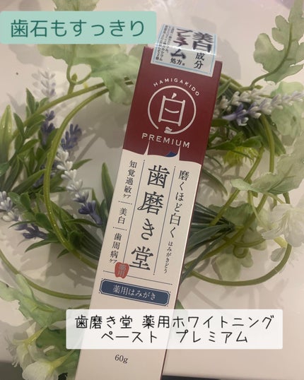 歯磨き堂 薬用ホワイトニングペースト プレミアム/歯磨き堂/歯磨き粉を使ったクチコミ(1枚目)