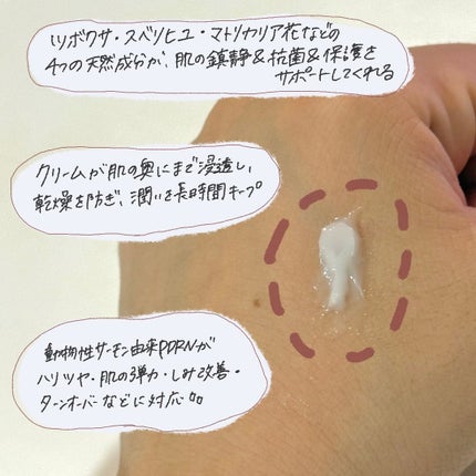 PDRNリジュビネイティングクリーム/Genabelle/フェイスクリームを使ったクチコミ(3枚目)