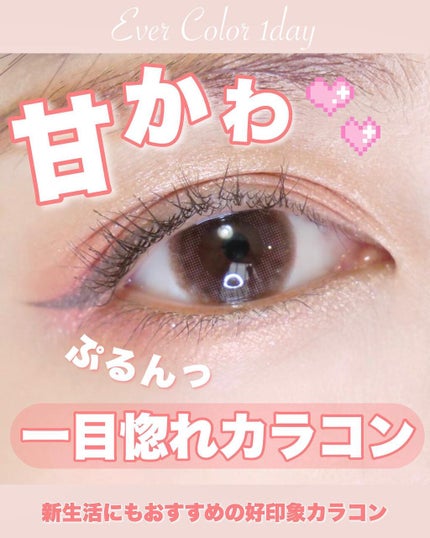 エバーカラーワンデー ナチュラル ナチュラルモカ/エバーカラー/ワンデー(1DAY)カラコンを使ったクチコミ(1枚目)