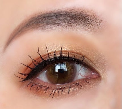 サンク クルール クチュール <サマー デューン>/Dior/アイシャドウパレットを使ったクチコミ(2枚目)