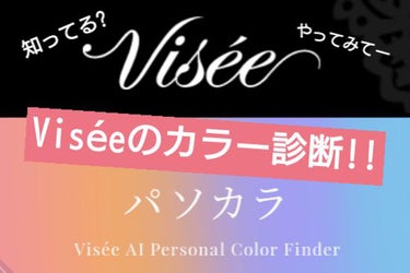 リシェ アイブロウ ペンシル＆パウダー/Visée/アイブロウペンシルを使ったクチコミ（1枚目）