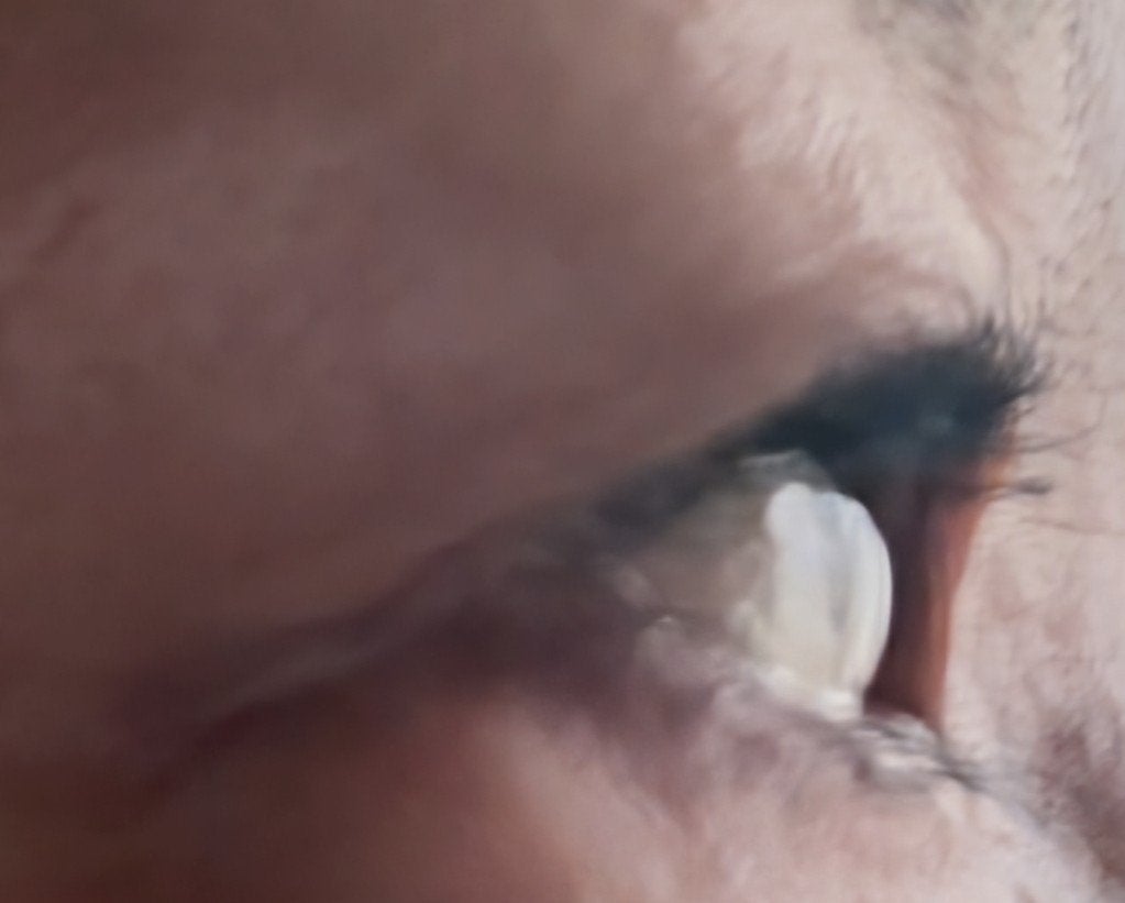 ラスティングリキッドライナー/キャンメイク/リキッドアイライナーを使ったクチコミ(4枚目)