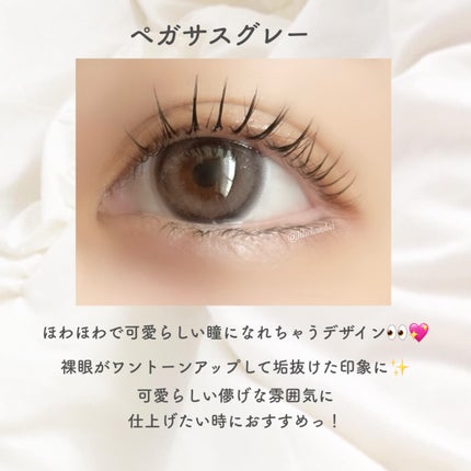 TETRITON/TETRITON/ワンデー(1DAY)カラコンを使ったクチコミ(4枚目)