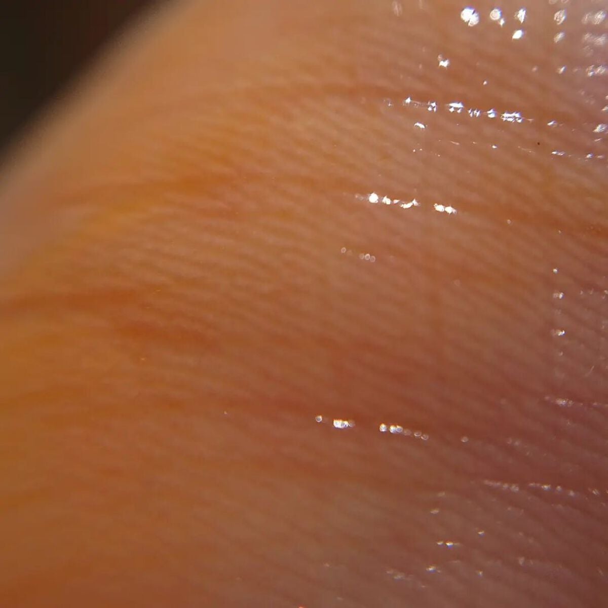 ティントリップコート/KANEBO/リップグロスを使ったクチコミ(6枚目)