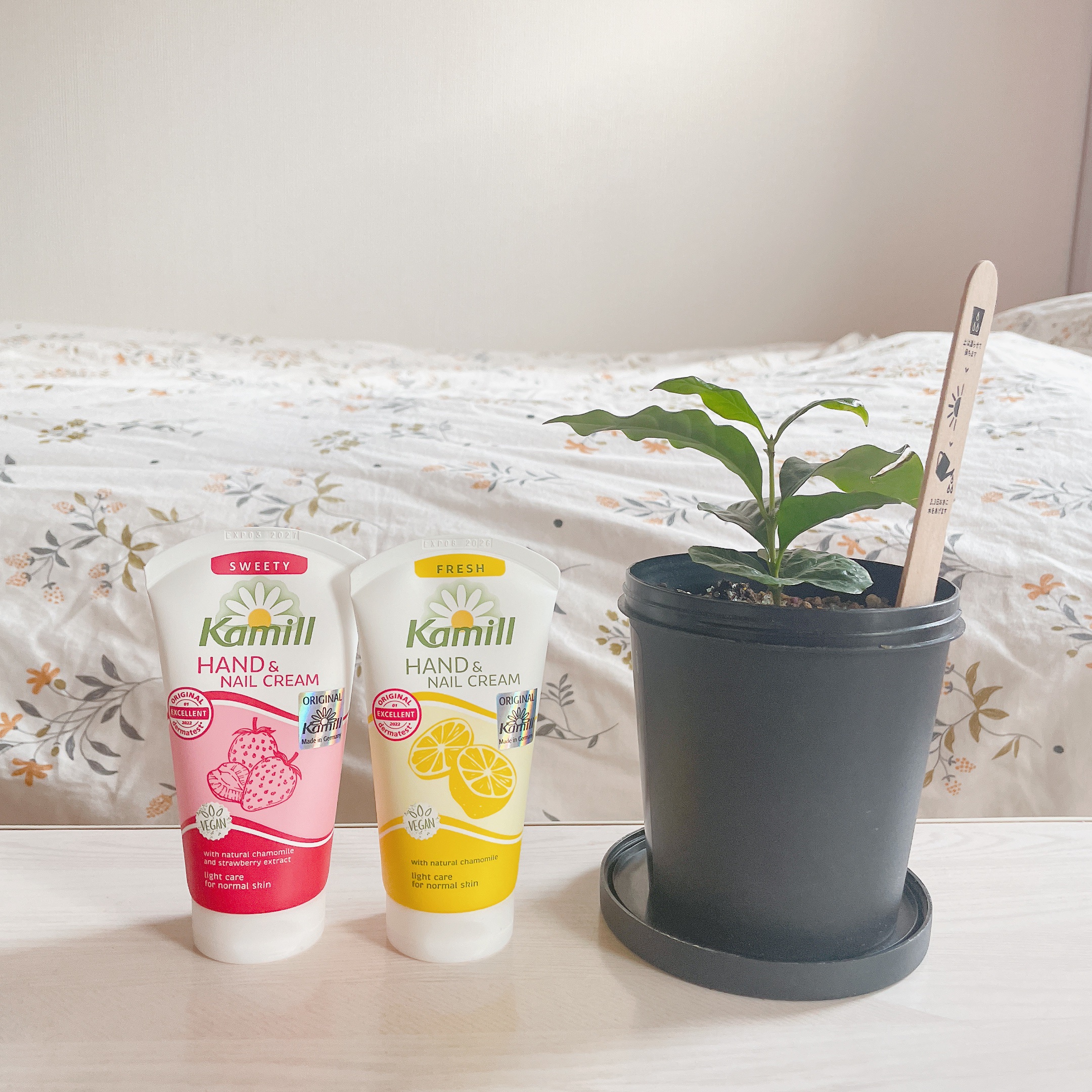 ハンド＆ネイルクリーム  スウィーティー 75ML/カミール/ハンドクリームを使ったクチコミ（1枚目）