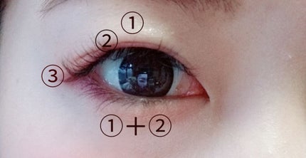 ダークローズシャドウ/KATE/アイシャドウパレットを使ったクチコミ(2枚目)