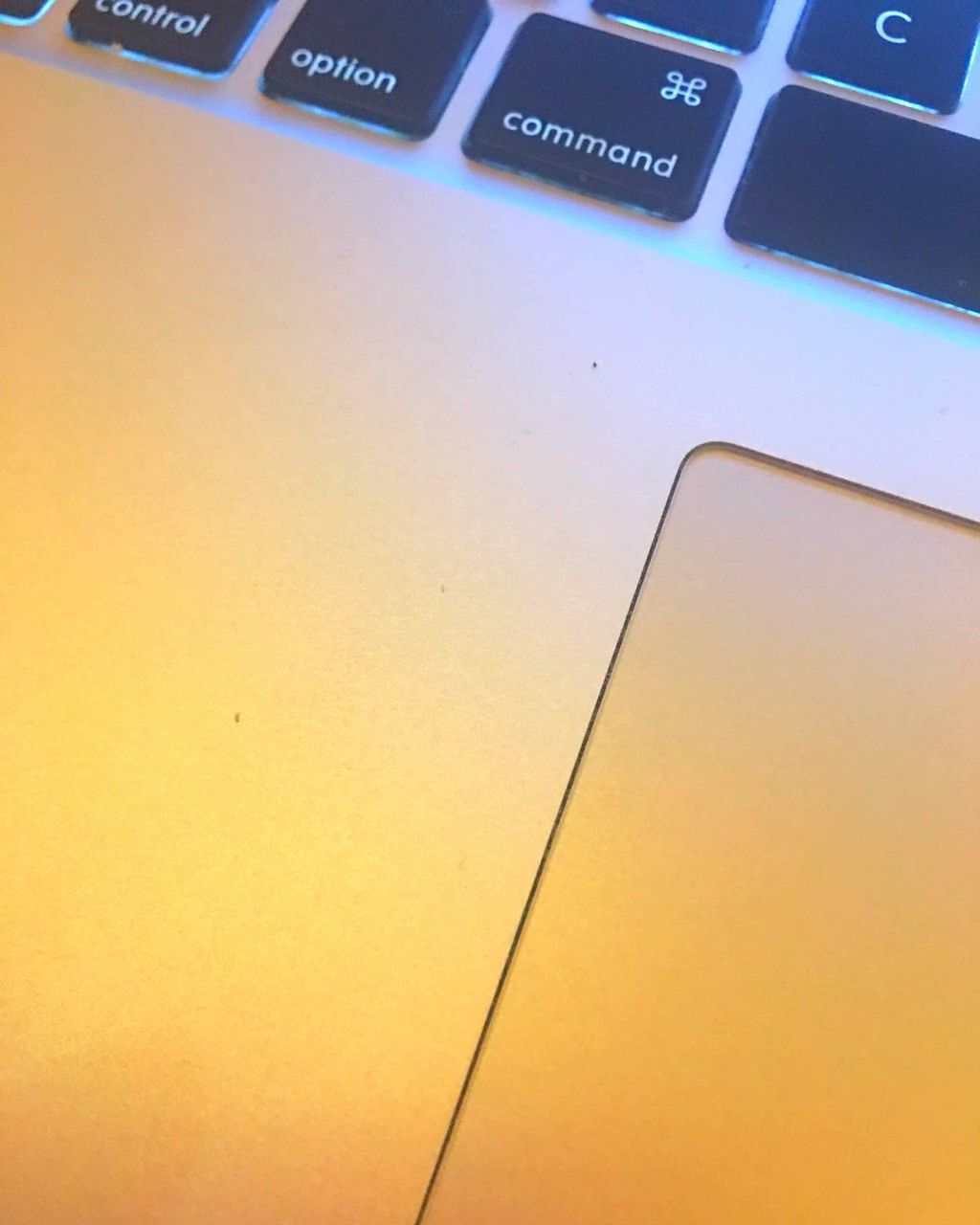 ペルル ブラン ブライトニング コンパクト/GUERLAIN/パウダーファンデーションを使ったクチコミ(1枚目)