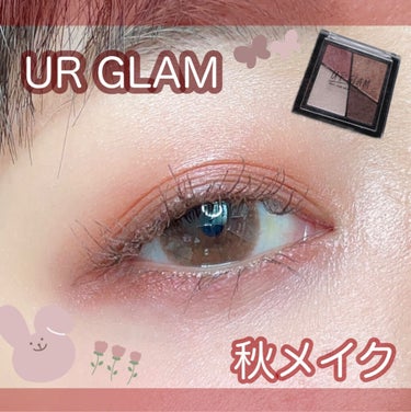 UR GLAM　VELVET EYE COLOR PALETTE/U R GLAM/アイシャドウパレットを使ったクチコミ（1枚目）