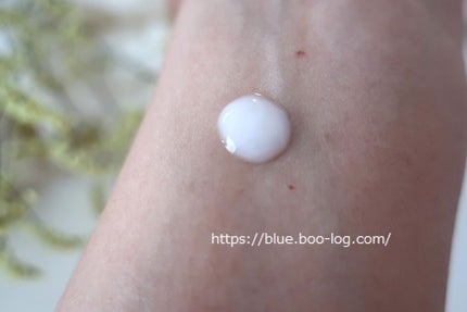 ビオパフォーマンス スキンフィラー/SHISEIDO/美容液を使ったクチコミ(2枚目)