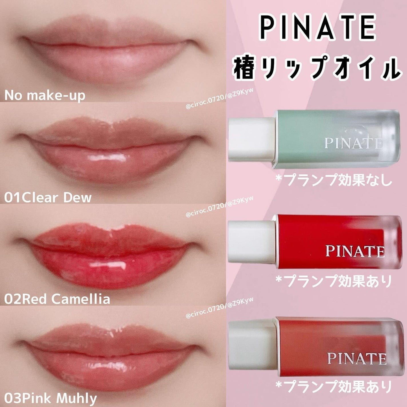 ナチュラルブルームリップオイルセラム 3色セット/PINATE/リップグロスを使ったクチコミ(1枚目)