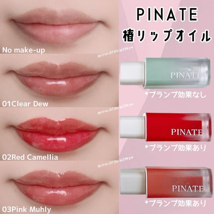 ナチュラルブルームリップオイルセラム 3色セット/PINATE/リップグロスを使ったクチコミ(1枚目)