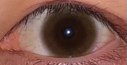 ReVIA 1day/ReVIA/ワンデー(1DAY)カラコンを使ったクチコミ(1枚目)