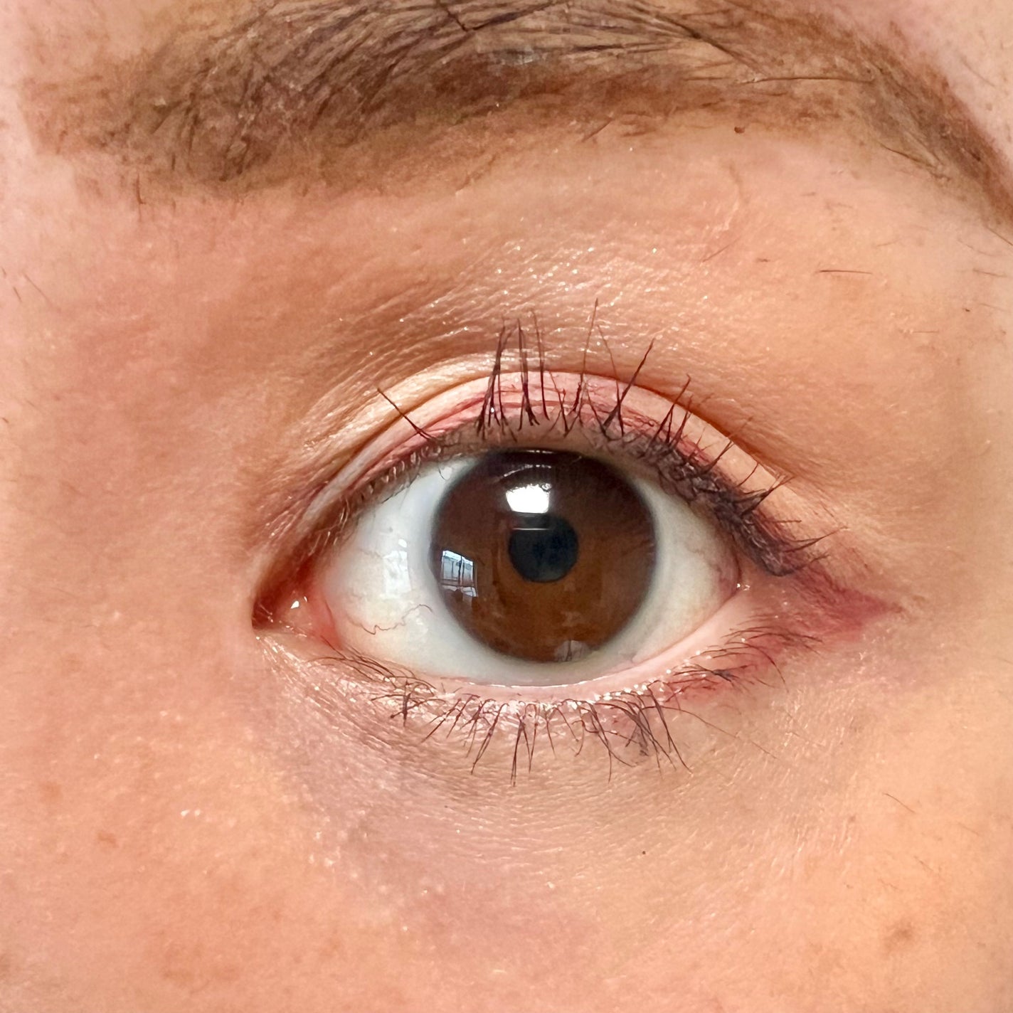 オールデイ ボリュームアンドカールマスカラ/Milk Touch/マスカラを使ったクチコミ(4枚目)