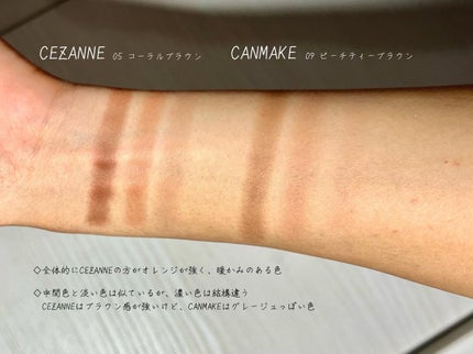 ノーズ&アイブロウパウダー/CEZANNE/パウダーアイブロウを使ったクチコミ(2枚目)