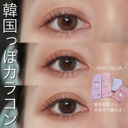 MOLAK 1day/MOLAK/ワンデー(1DAY)カラコンを使ったクチコミ(1枚目)