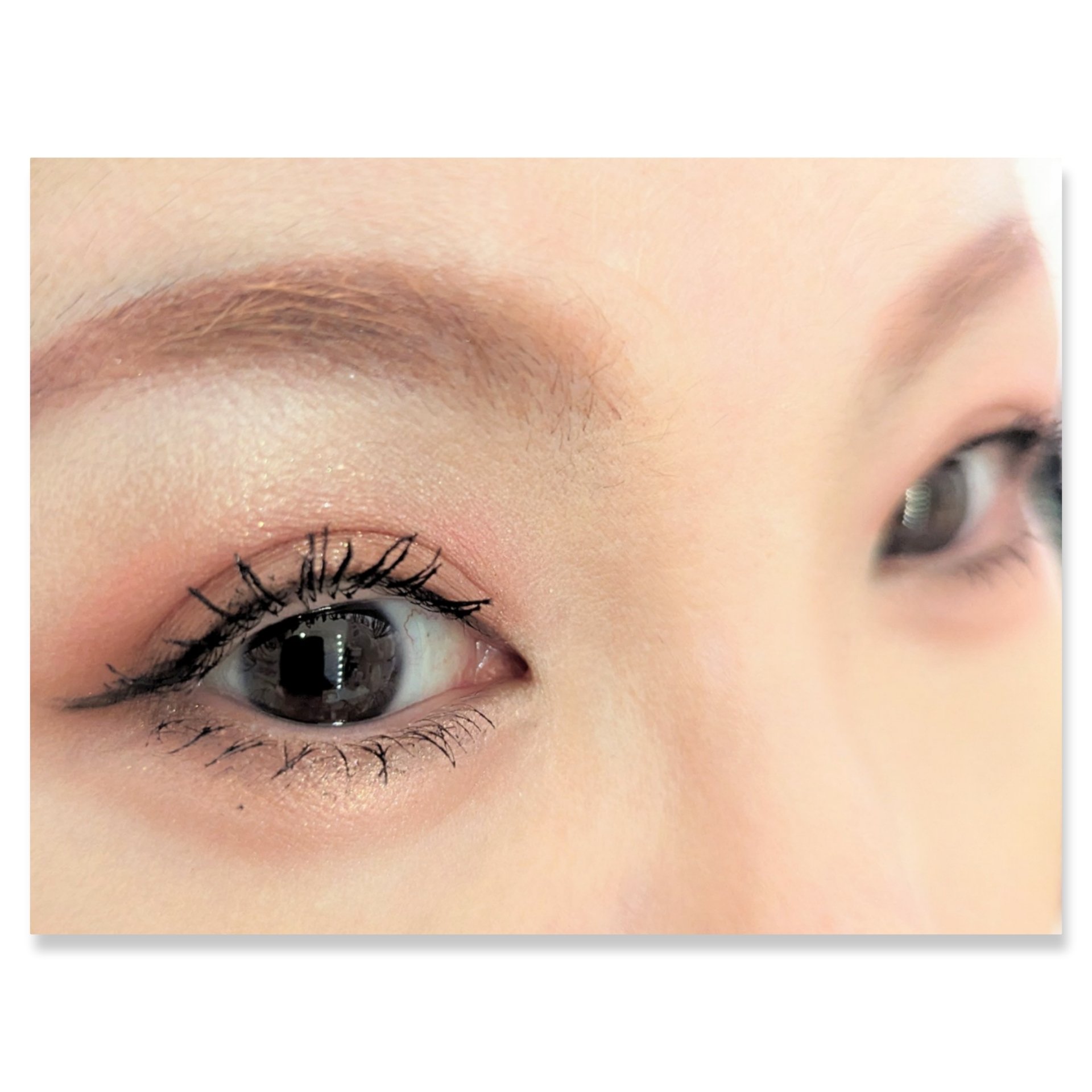 足しパレ/Fujiko/アイシャドウパレットを使ったクチコミ（2枚目）