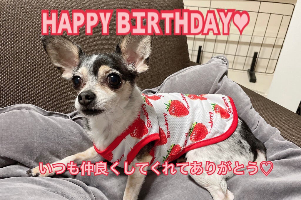 はる❅*° on LIPS 「こんばんは☽・:*深夜に失礼します🙏どうしても我慢出来なくて😣..」(5枚目)