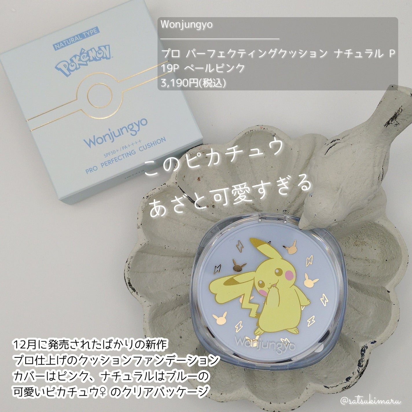 ウォンジョンヨ フィクシングブラーパウダー N/Wonjungyo/ルースパウダーを使ったクチコミ(3枚目)