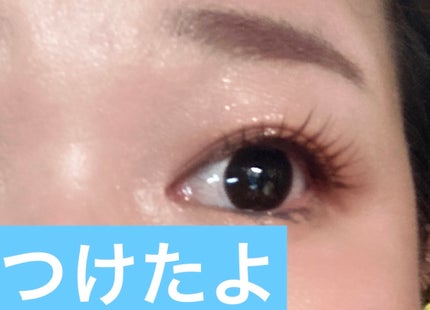 SH つけまつげ3D/セリア/つけまつげを使ったクチコミ(3枚目)