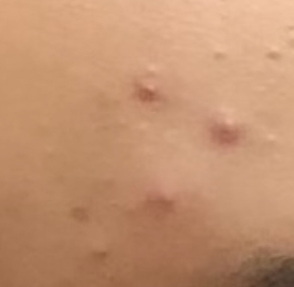 青箱 (さっぱり)/カウブランド/ボディ石鹸を使ったクチコミ（2枚目）