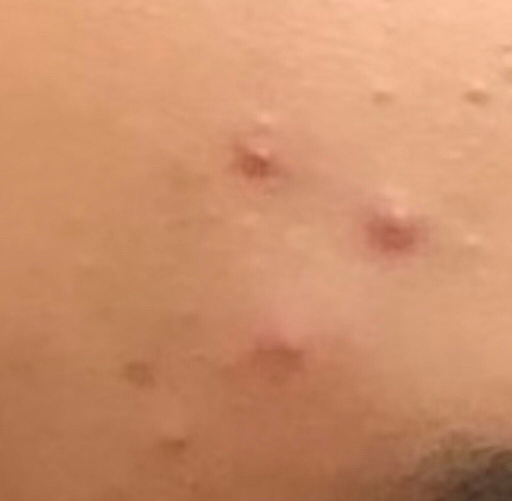 青箱 (さっぱり)/カウブランド/ボディ石鹸を使ったクチコミ(2枚目)